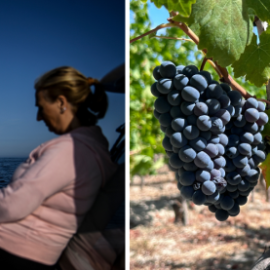 Portugal Na Ue Webpage